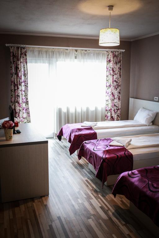 Pensiunea Oxana Lipova Стая снимка